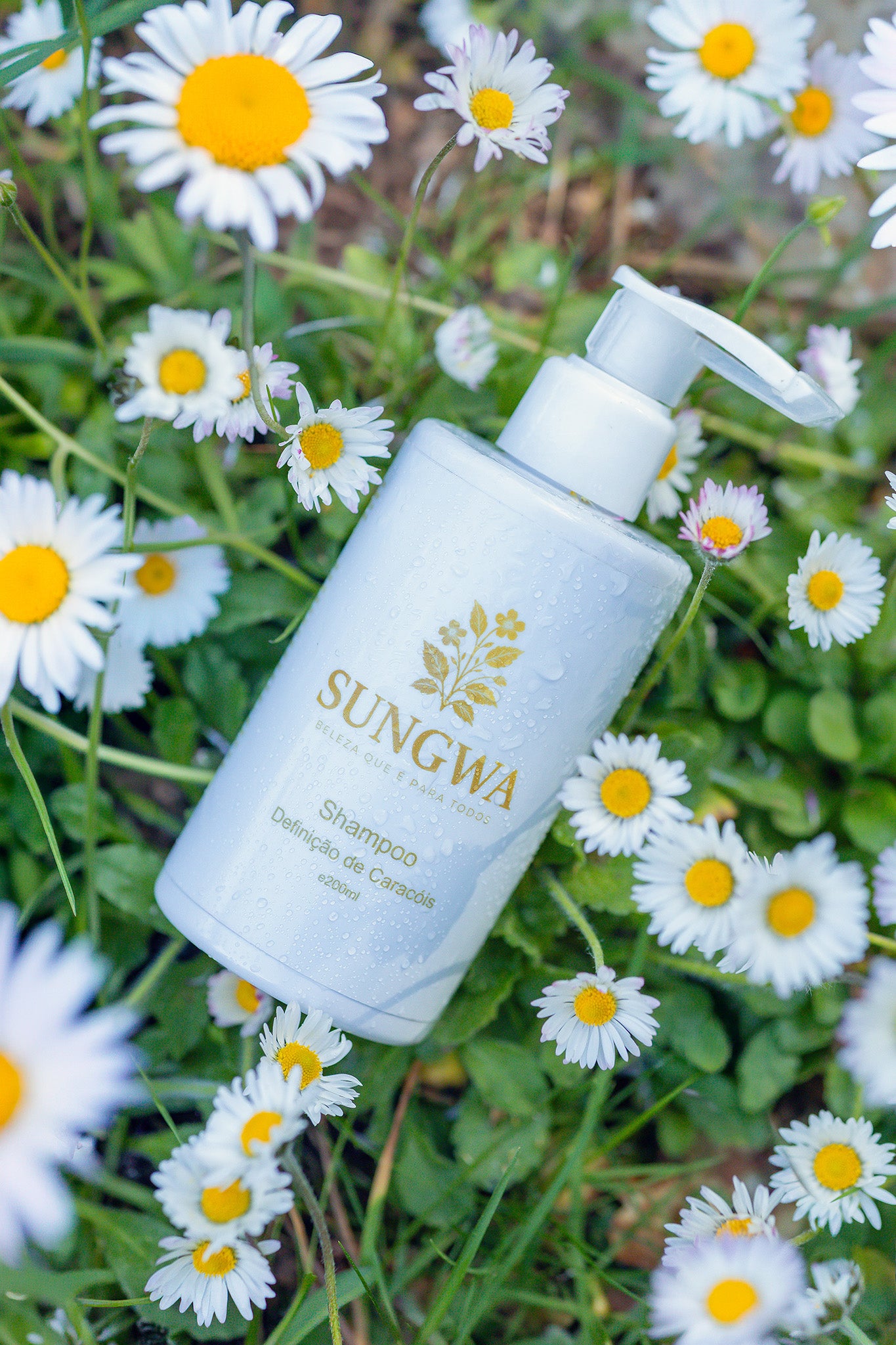 Shampoo defniição de caracóis