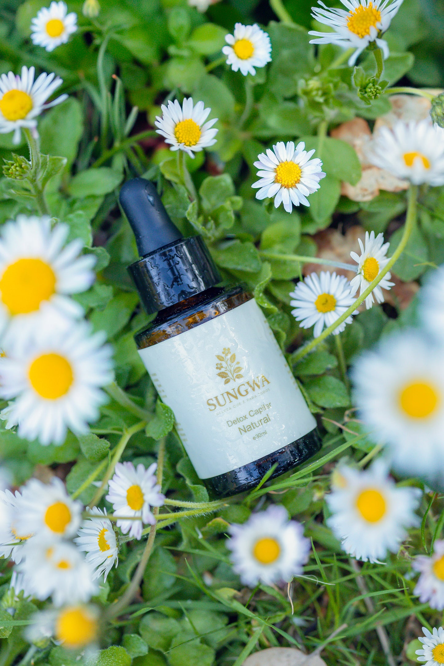 Detox capilar natural