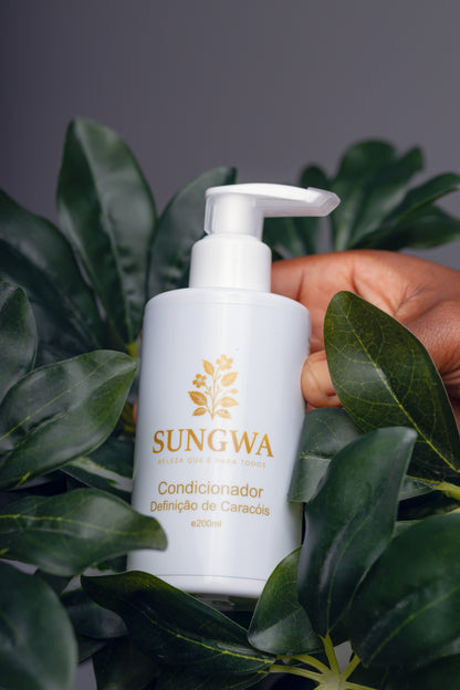 CONDICIONADOR DEFINIÇÃO DE CARACÓIS