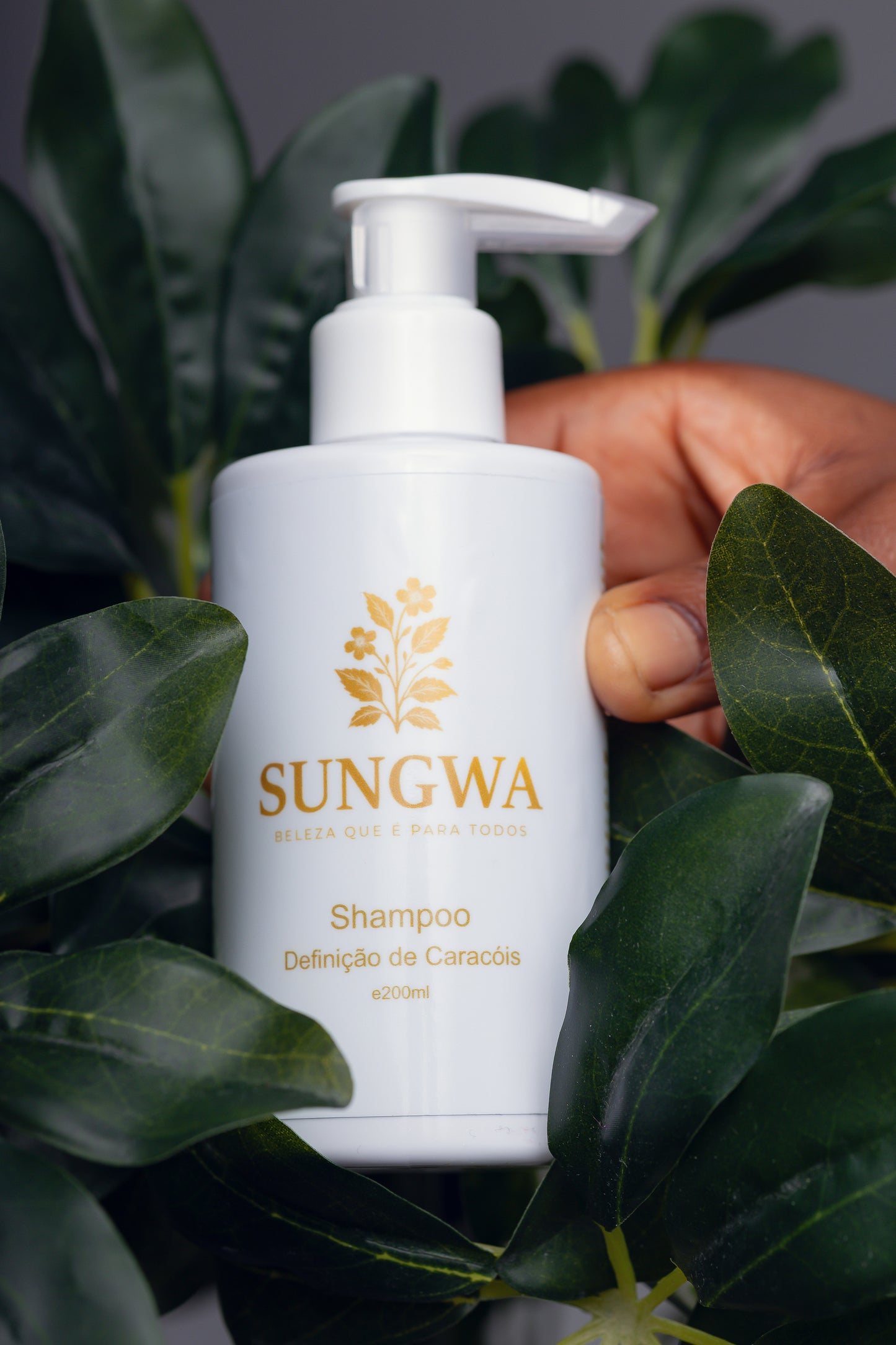 Shampoo defniição de caracóis